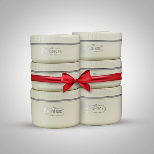 ২ পিস - Premium Insulated Lunch Box Combo Set with Thermal Carry Bag- 3 Layer | Stainless Steel Food Container for Office, School & Travel