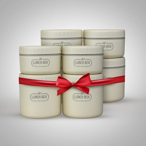 ২ পিস - Premium Insulated Lunch Box Combo Set with Thermal Carry Bag- 4 Layer | Stainless Steel Food Container for Office, School & Travel